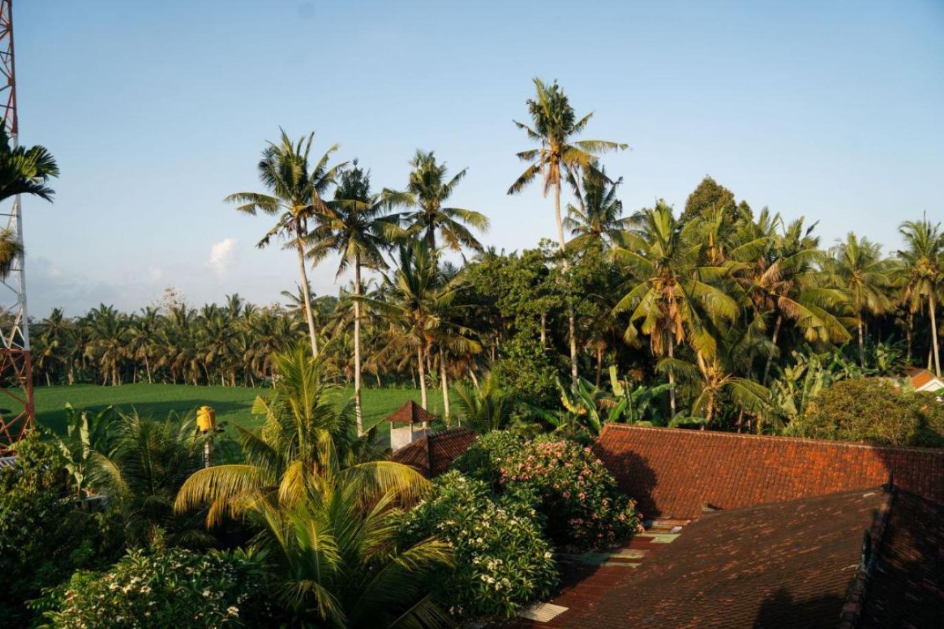 Ubud Backpacker Hostel Luaran gambar